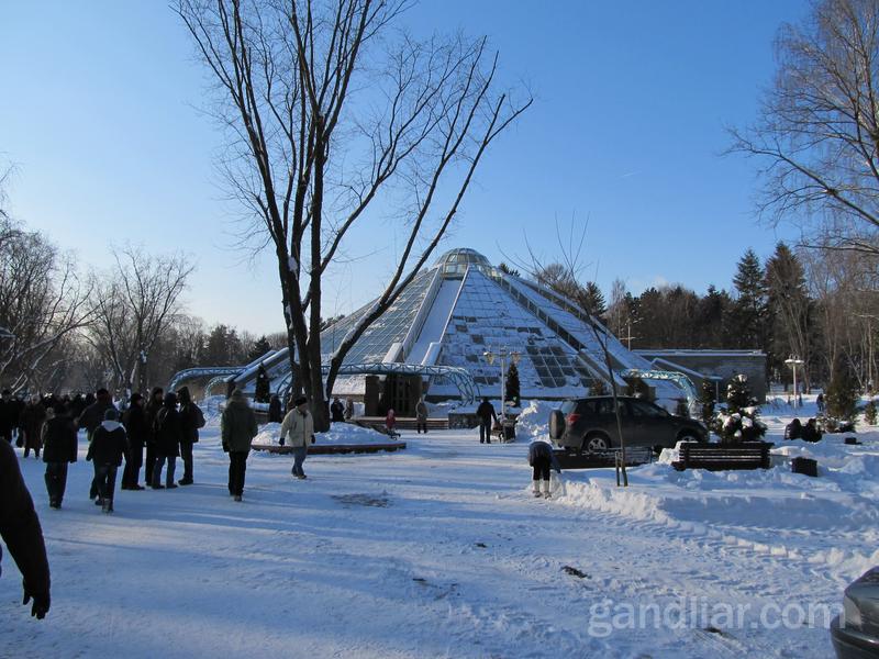 Сады, парки и объекты комфортной городской среды в Корее с Натальей Легенчук