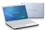 Ноутбук Sony VAIO VPCEE3E1R-WI